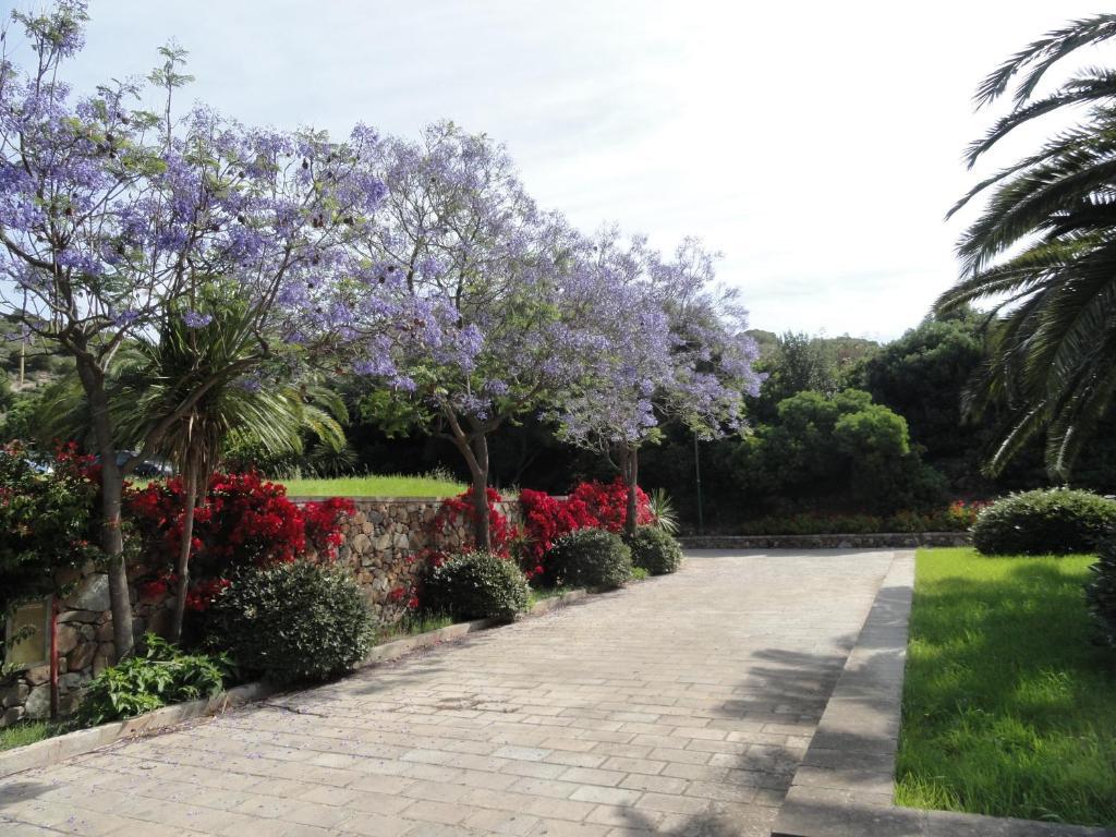 Eco Village Baia Delle Ginestre Teulada Rum bild