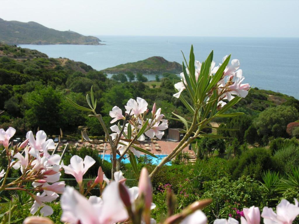 Eco Village Baia Delle Ginestre Teulada Rum bild