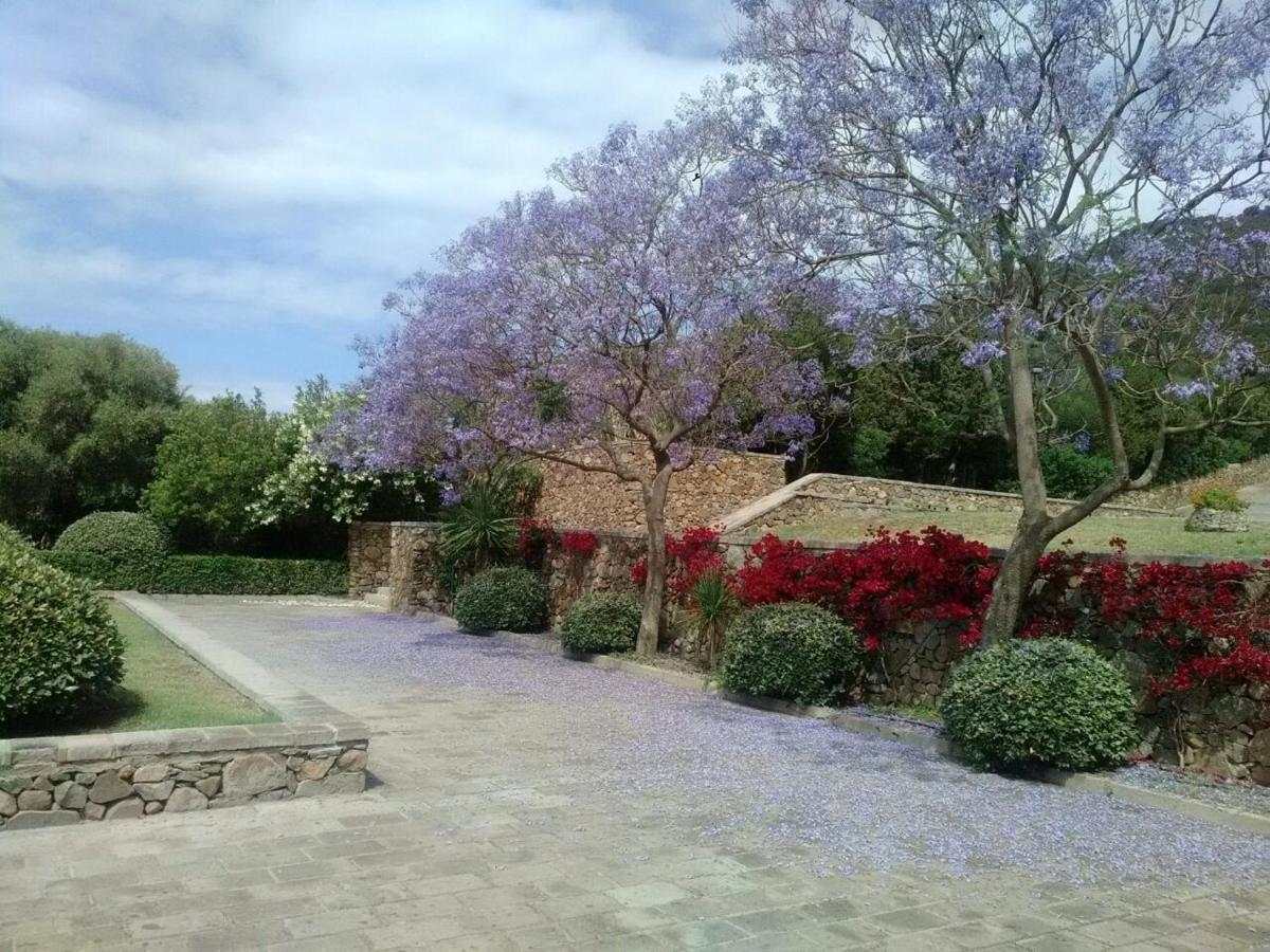 Eco Village Baia Delle Ginestre Teulada Exteriör bild